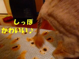日常 631.jpg