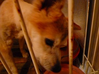 日常 637.jpg