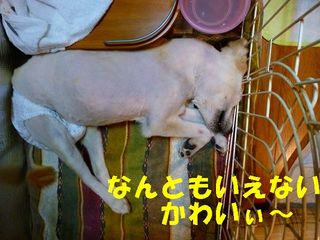日常 639.jpg