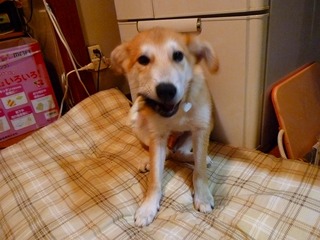 日常 640.jpg