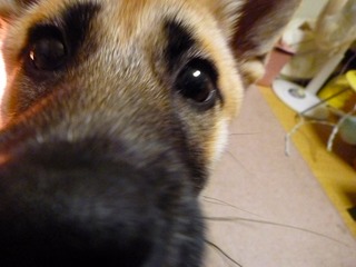日常 675.jpg