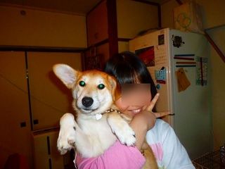 日常 716.jpg