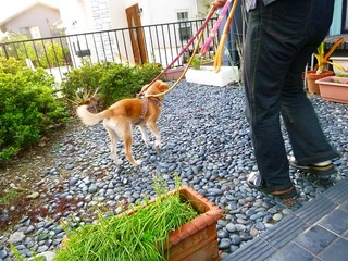 日常 726.jpg