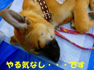 日常 735.jpg