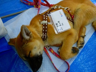 日常 736.jpg