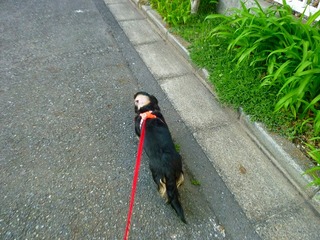 日常 738.jpg