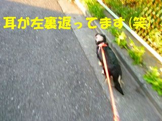 日常 740.jpg