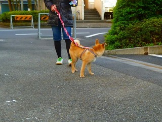 日常 743.jpg