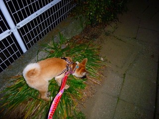 日常 754.jpg