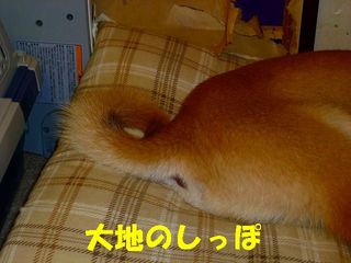 日常 779.jpg