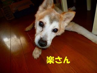 日常 784.jpg