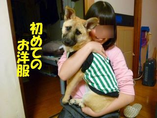 日常 788.jpg