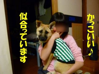 日常 789.jpg