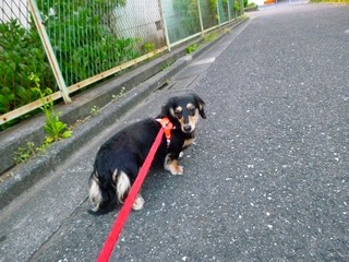 日常 794.jpg