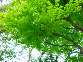 日常 795.jpg