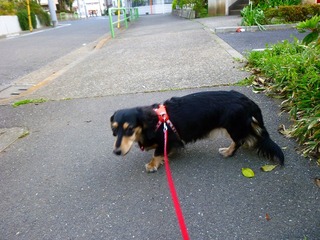 日常 796.jpg