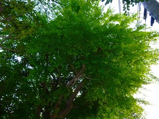 日常 797.jpg