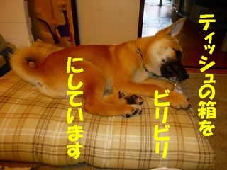 日常 803.jpg