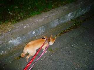 日常 805.jpg
