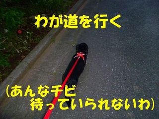 日常 815.jpg