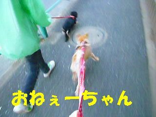 日常 817.jpg