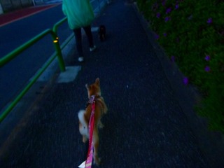 日常 819.jpg