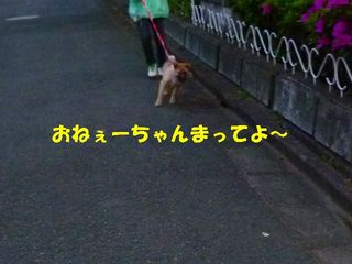 日常 820.jpg