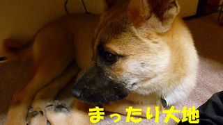 日常 822.jpg