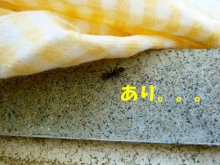日常 830.jpg