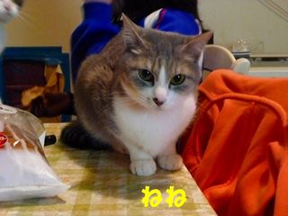 日常 833.jpg