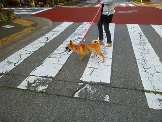 日常 852.jpg