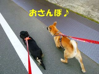 日常 853.jpg