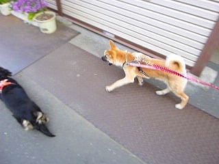 日常 855.jpg