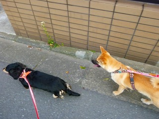 日常 856.jpg