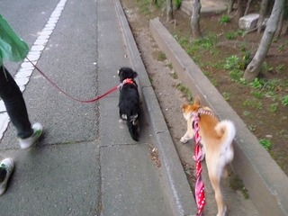 日常 862.jpg