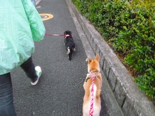日常 868.jpg