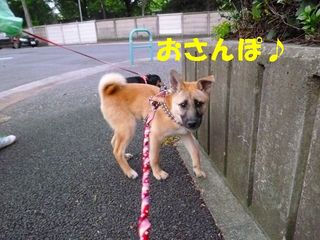 日常 869.jpg