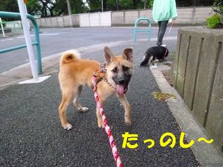 日常 870.jpg