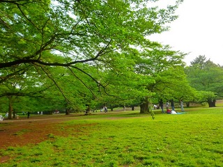 日常 878.jpg