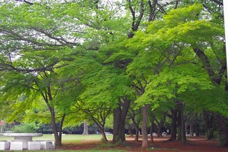 日常 889.jpg