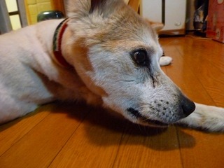 日常 895.jpg