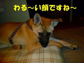 日常 898.jpg