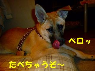 日常 899.jpg