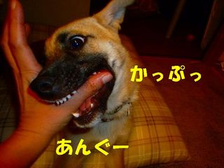 日常 903.jpg