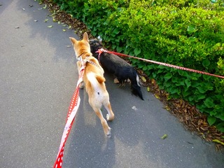 日常 919.jpg