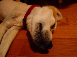 日常 929.jpg