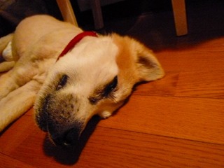 日常 930.jpg