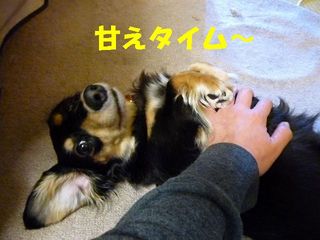 日常 939.jpg