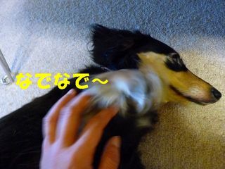 日常 940.jpg