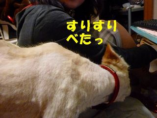 日常 949.jpg